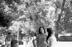 bw0005_016