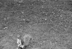 bw0012_009