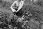 bw1111_007