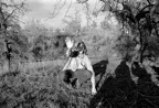 bw1174_009