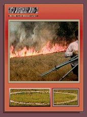 FIRERIM