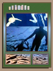 FROGMAN