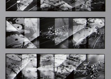 CTOP-05DET-1979
