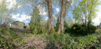 BigPanCam-276CY1-90crop2-sm.jpg