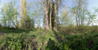 TwinPonds4-281CY1-80.jpg