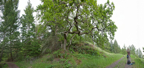 Oak&Vicki-345CY1.jpg