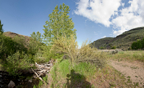 YakimaCanyon2-325B-CY1-90crop2B.jpg