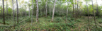 GreenTreeHill-131SPH2