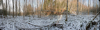CougarMTSnow-215CY1.jpg