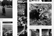 SS - Photography_Detail
