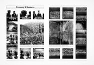SS - Economy & Business