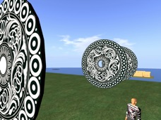 Snapshot312_009